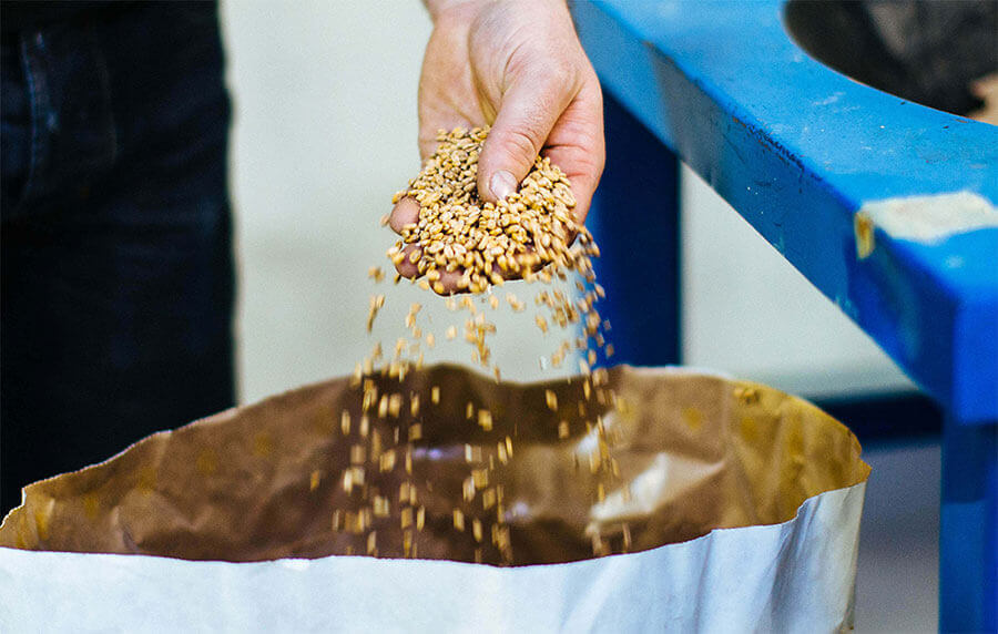 Guinness Open Gate Brewery The Brewing Process